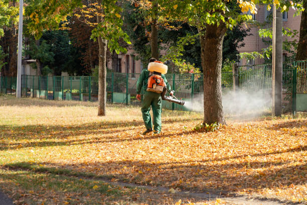 Best Mosquito Control Services  in Watergate, FL